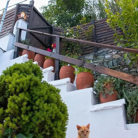 Anna's House